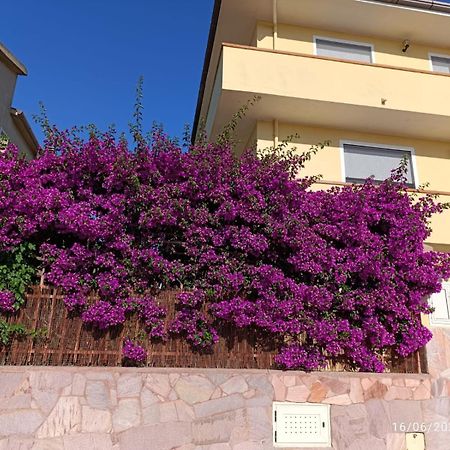Bouganville オルメード エクステリア 写真